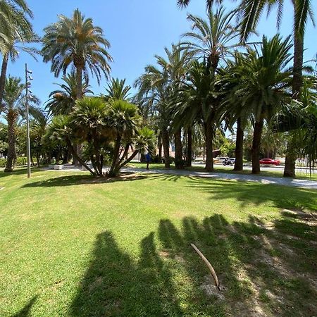 Apartmán Tropical Loft Alicante Exteriér fotografie